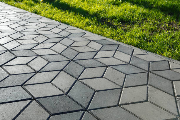 Best Driveway Pavers Near Me  in Lake Arbor, MD